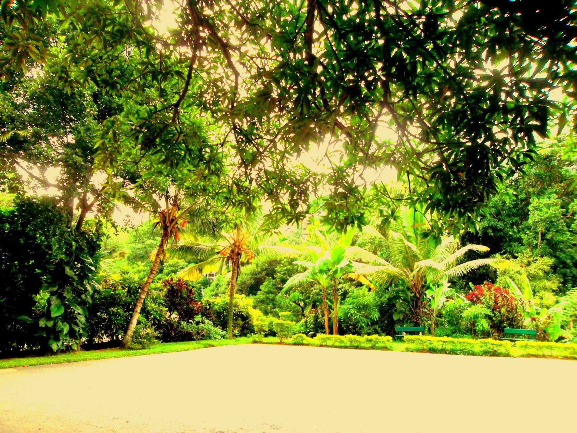 كاندي Oyo 433 Paradise Resort المظهر الخارجي الصورة